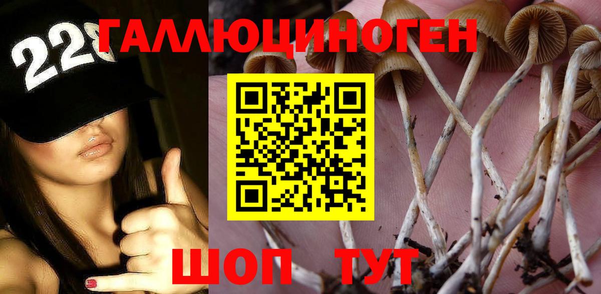 Галлюциногенные грибы мицелий Кисловодск