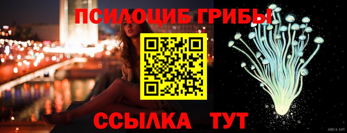 Кисловодск  Галлюциногенные грибы MAGIC MUSHROOMS  Вход с VPN 